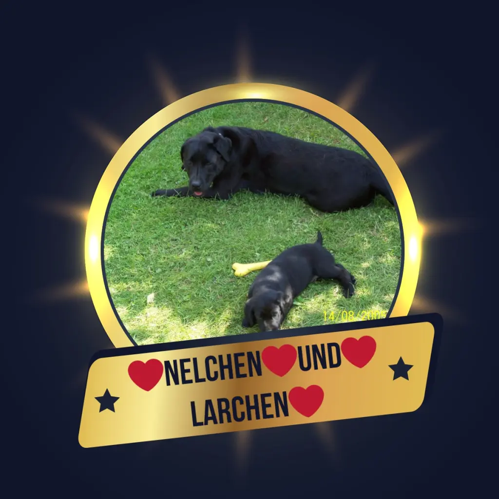 Condolence image of ❤️❤️❤️