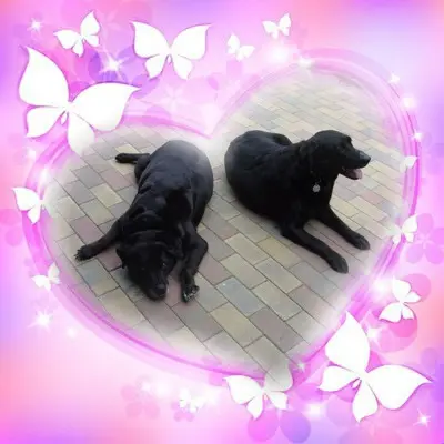 Condolence image of ❤️❤️❤️