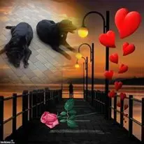 Condolence image of ❤️❤️❤️