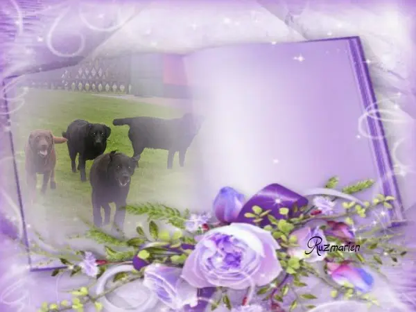 Condolence image of ❤️❤️❤️