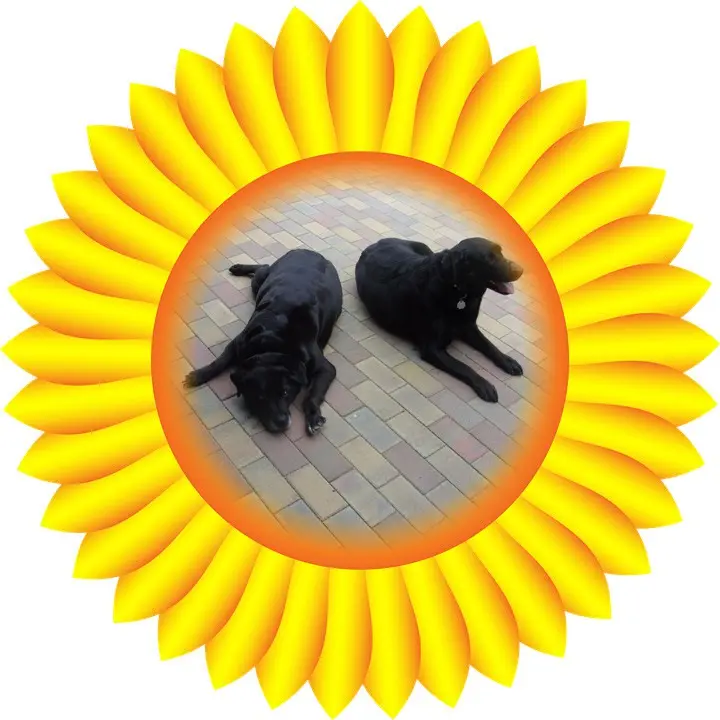 Condolence image of ❤️❤️❤️