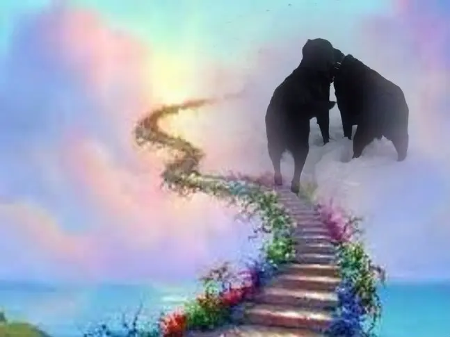 Condolence image of ❤️❤️❤️