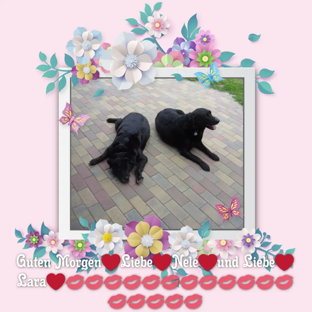 Condolence image of ❤️❤️❤️