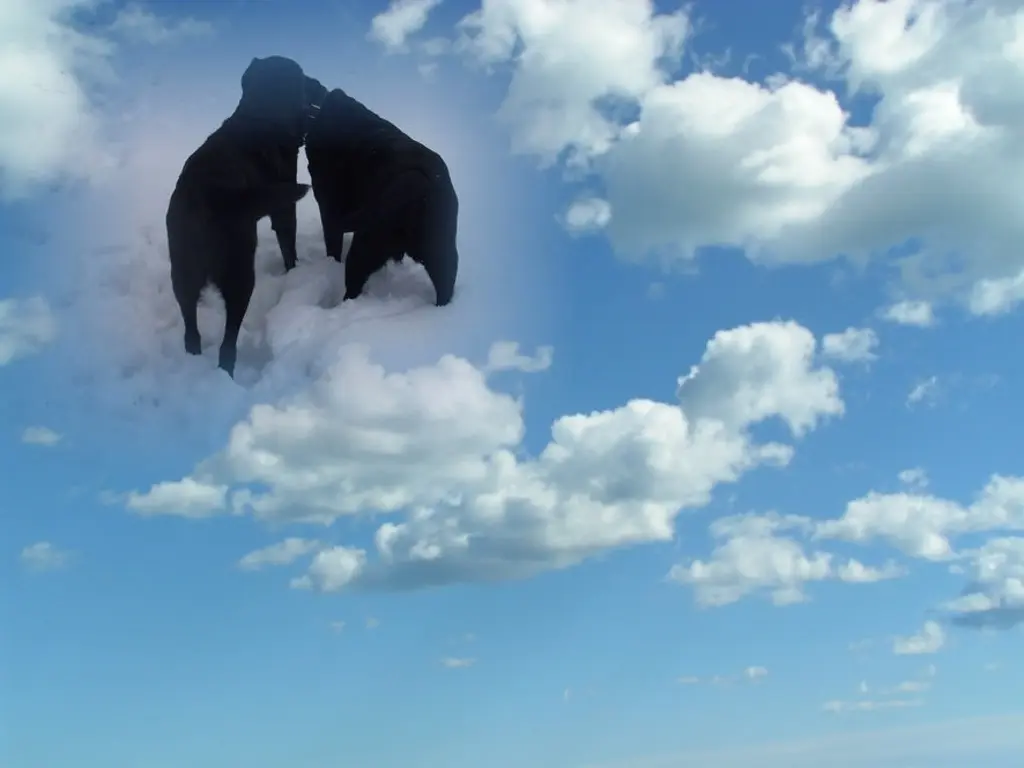 Condolence image of ❤️❤️❤️