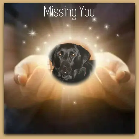 Condolence image of ❤️❤️❤️