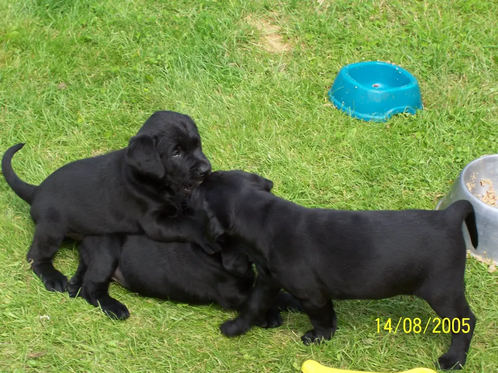 Condolence image of Unbekannt