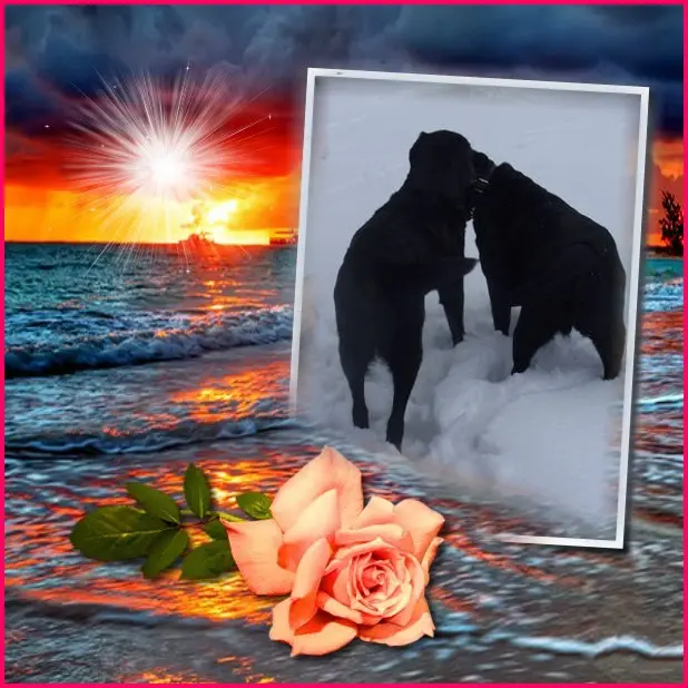 Condolence image of ❤️❤️❤️