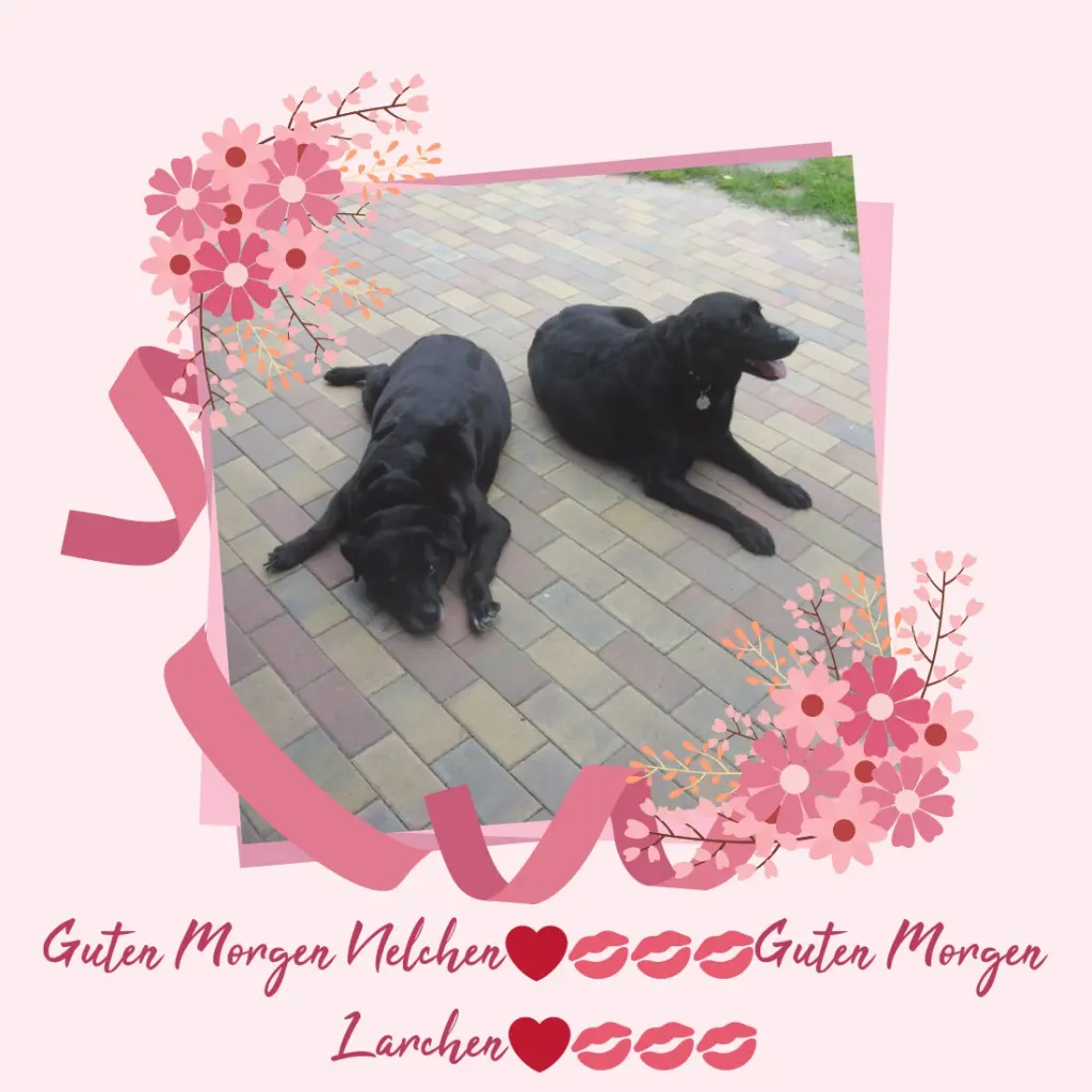 Condolence image of ❤️❤️❤️