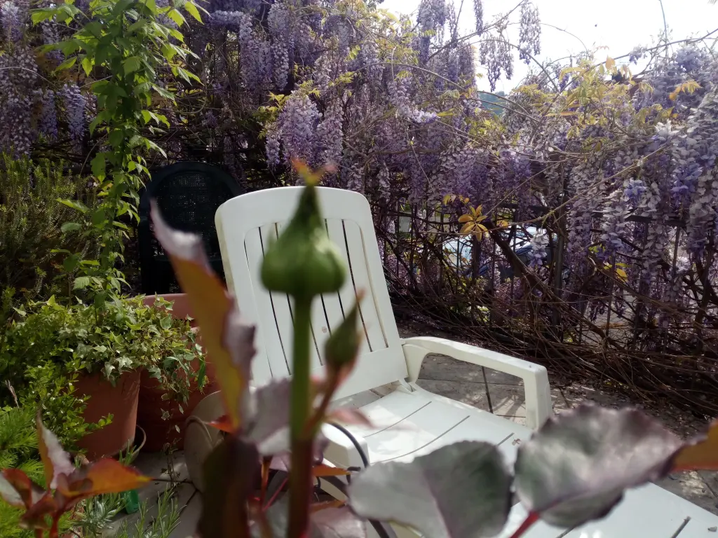 Condolence image of Marika mit Balou und Hippo im Herzen