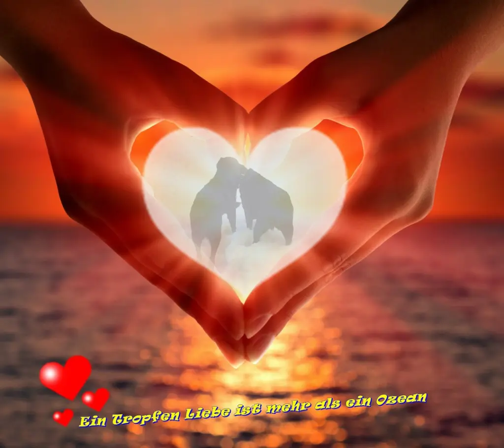 Condolence image of ❤️❤️❤️