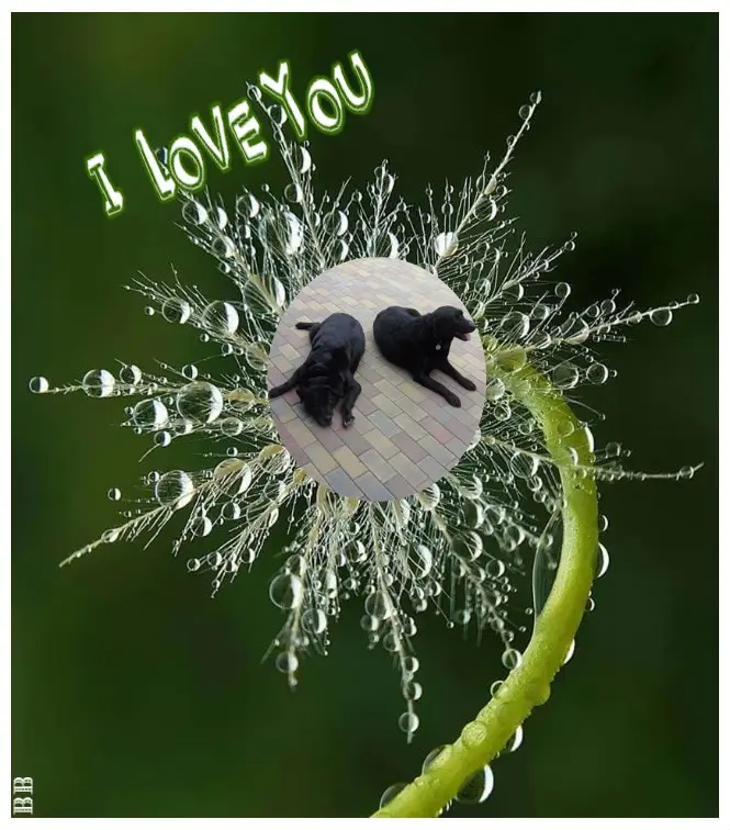 Condolence image of ❤️❤️❤️