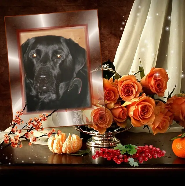 Condolence image of ❤️❤️❤️