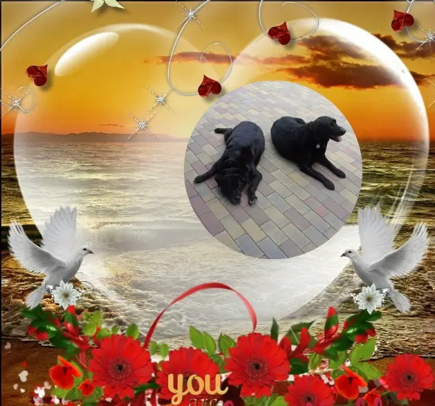 Condolence image of ❤️❤️❤️