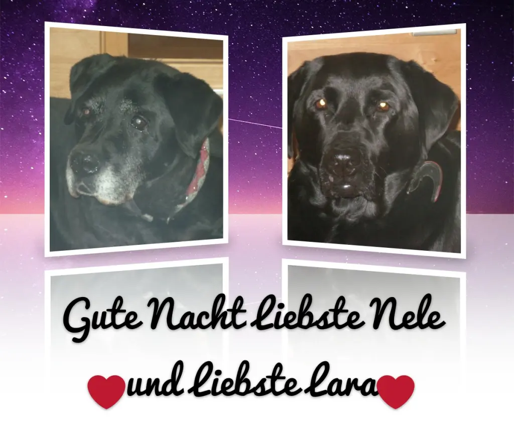 Condolence image of ❤️❤️❤️