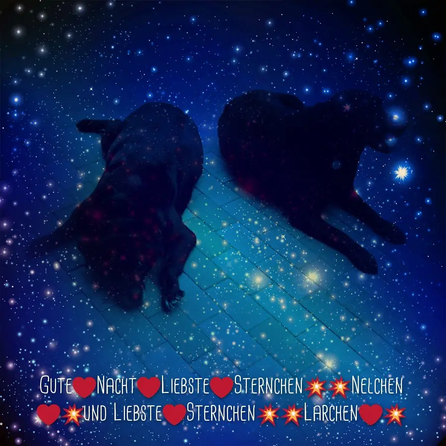 Condolence image of ❤️❤️❤️