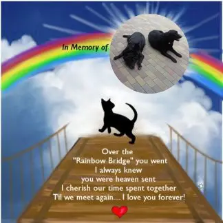 Condolence image of ❤️❤️❤️