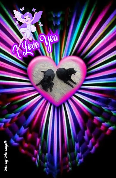 Condolence image of ❤️❤️❤️