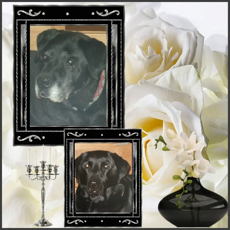 Condolence image of ❤️❤️❤️