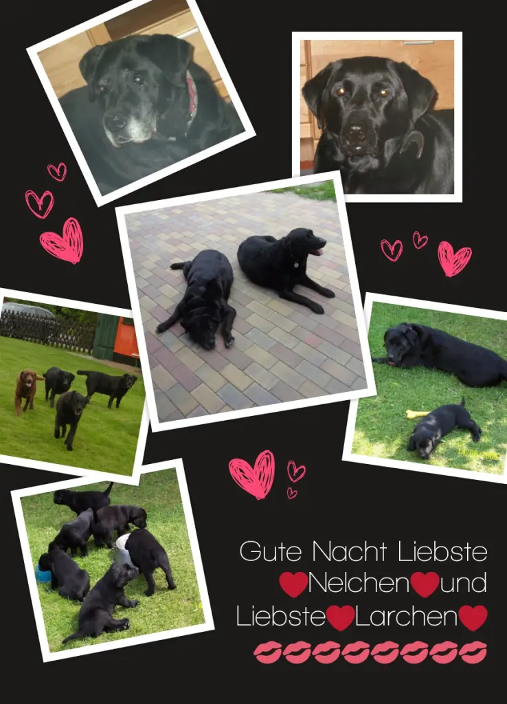 Condolence image of ❤️❤️❤️