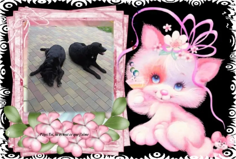 Condolence image of ❤️❤️❤️