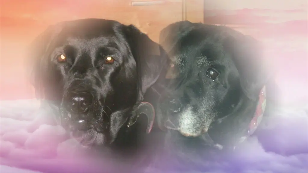 Condolence image of ❤️❤️❤️