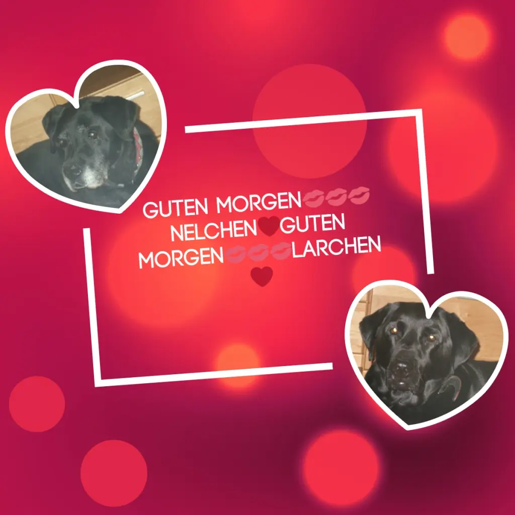 Condolence image of ❤️❤️❤️