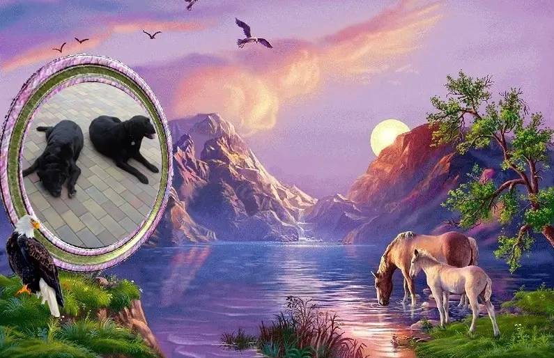 Condolence image of ❤️❤️❤️