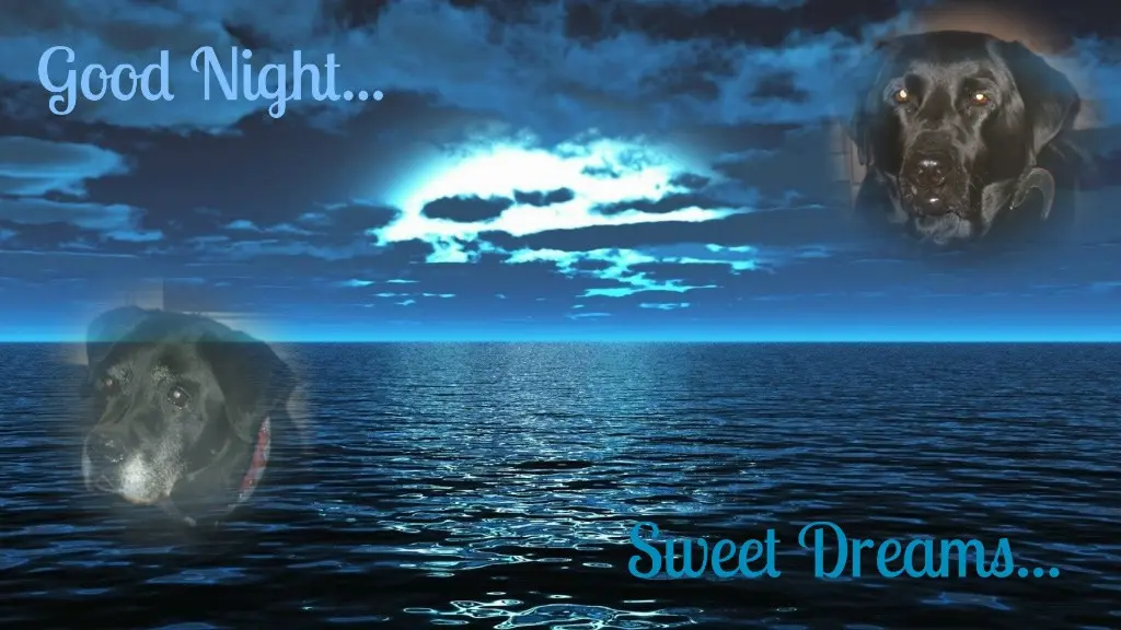 Condolence image of ❤️❤️❤️