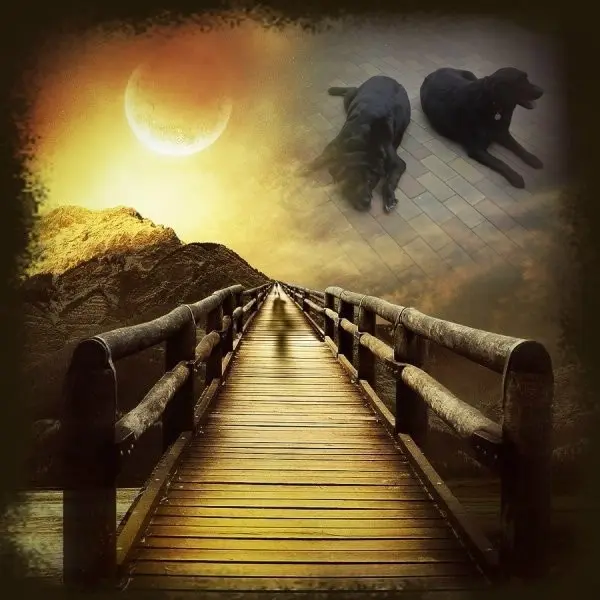 Condolence image of ❤️❤️❤️