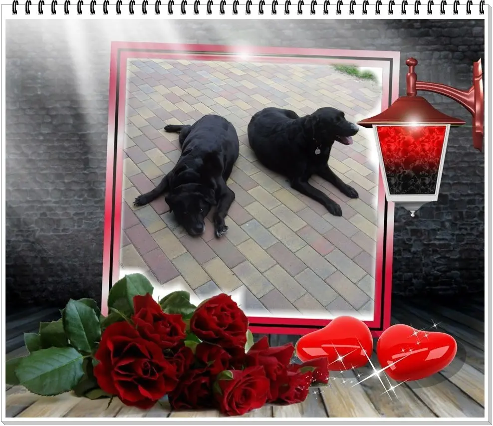 Condolence image of ❤️❤️❤️