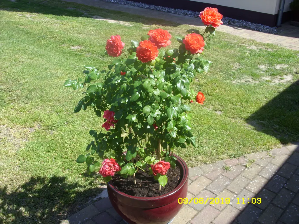 Condolence image of Unbekannt