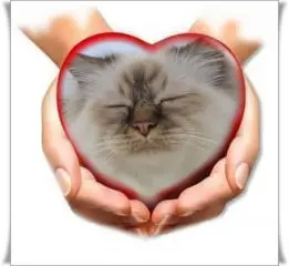 Condolence image of Shuja und Uschi