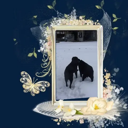 Condolence image of ❤️❤️❤️