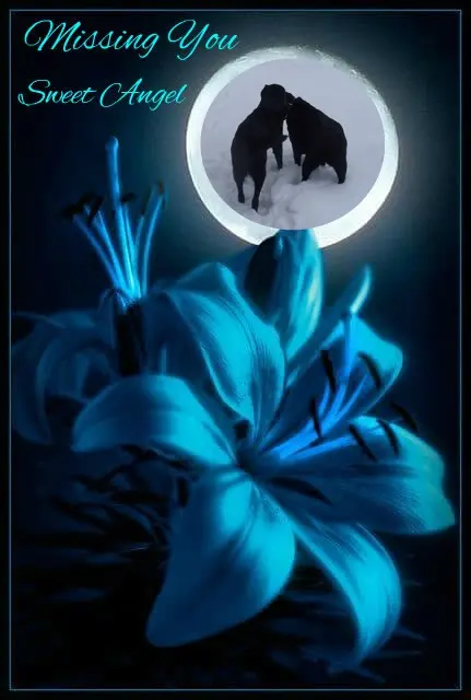 Condolence image of ❤️❤️❤️