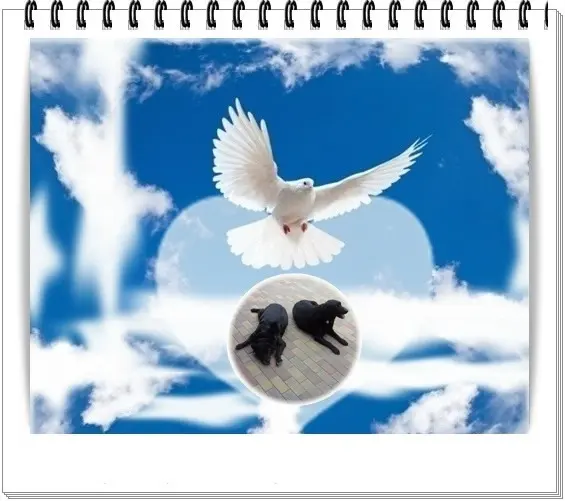 Condolence image of ❤️❤️❤️