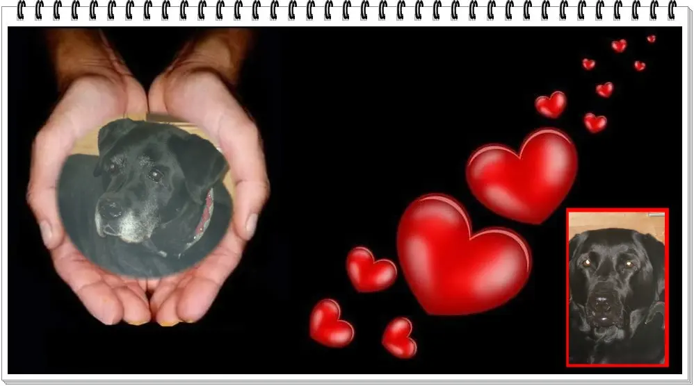 Condolence image of ❤️❤️❤️