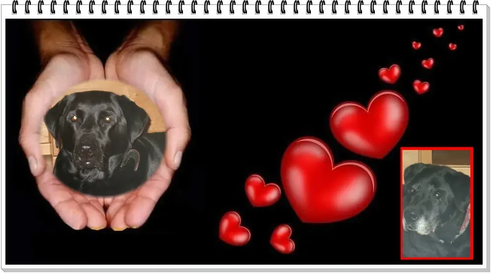 Condolence image of ❤️❤️❤️