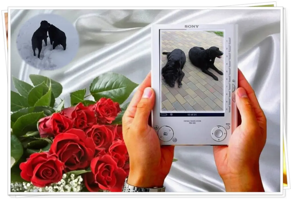 Condolence image of ❤️❤️❤️