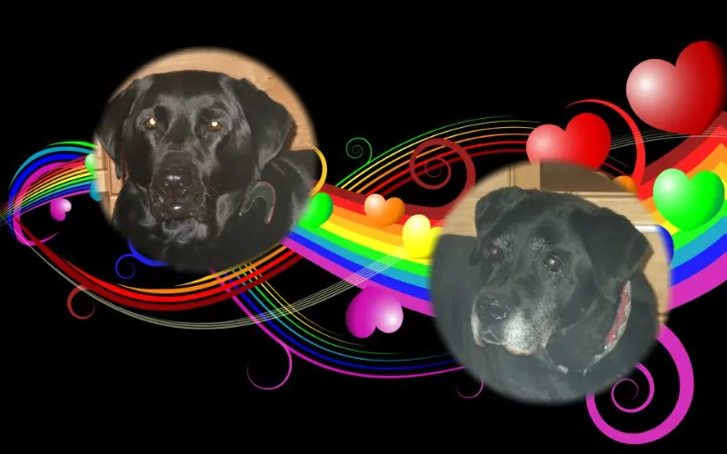 Condolence image of ❤️❤️❤️