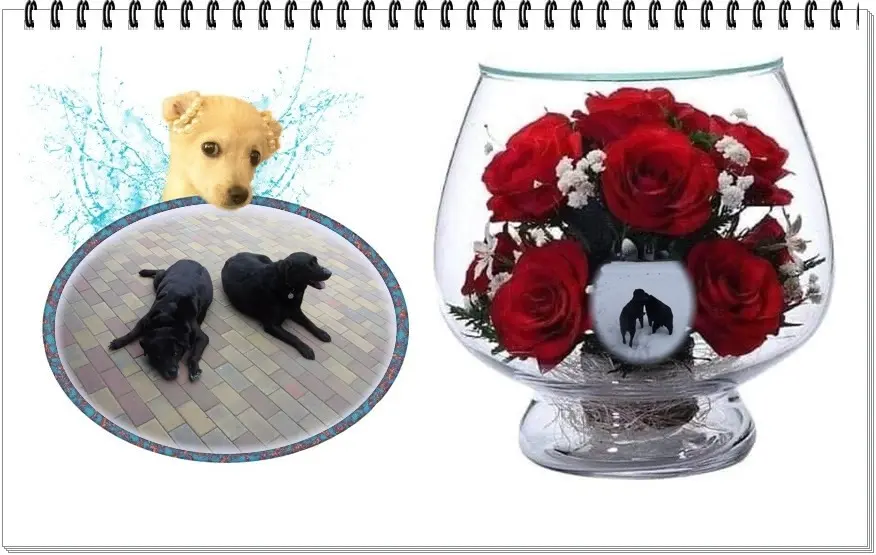 Condolence image of ❤️❤️❤️