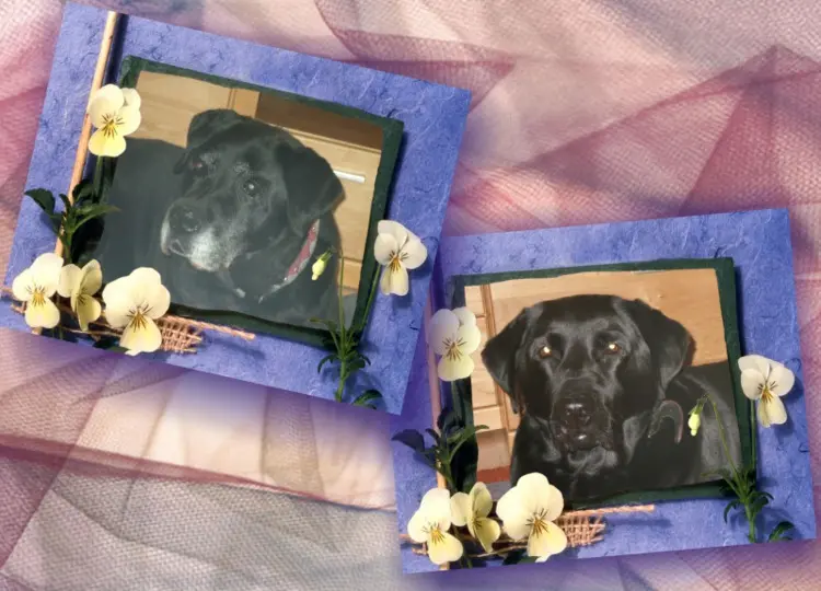 Condolence image of ❤️❤️❤️