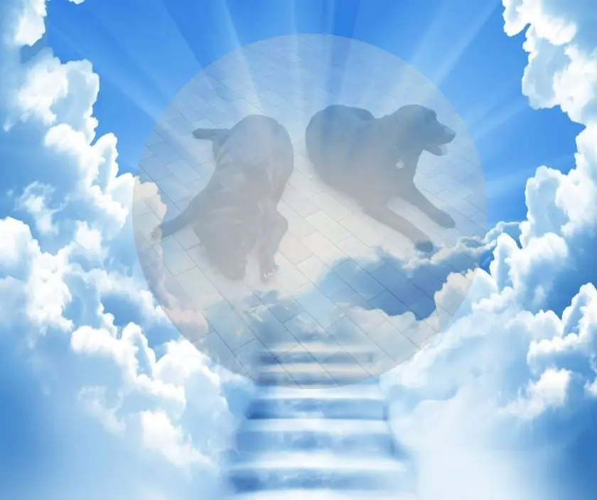 Condolence image of ❤️❤️❤️