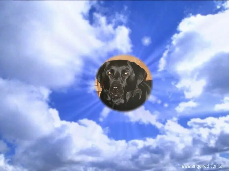 Condolence image of ❤️❤️❤️