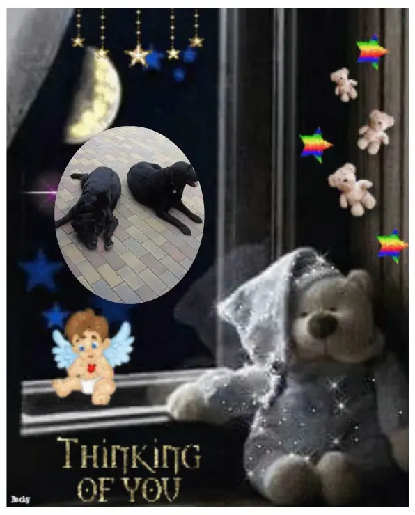 Condolence image of ❤️❤️❤️