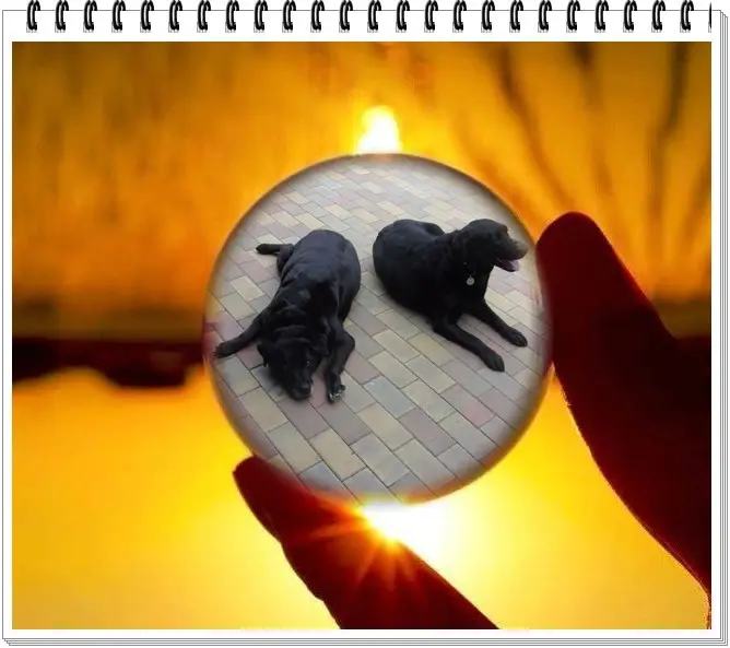 Condolence image of ❤️❤️❤️