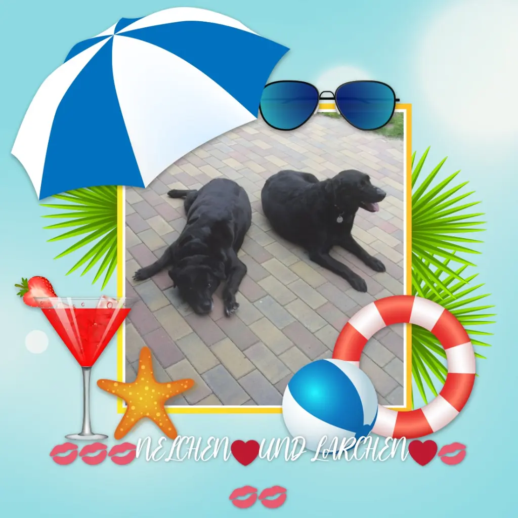 Condolence image of ❤️❤️❤️