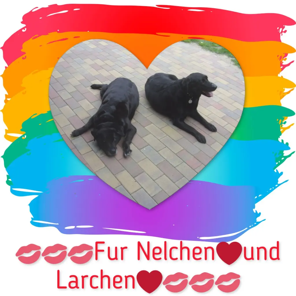 Condolence image of ❤️❤️❤️