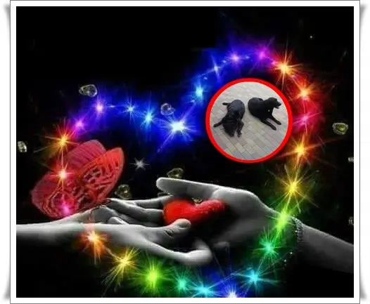 Condolence image of ❤️❤️❤️