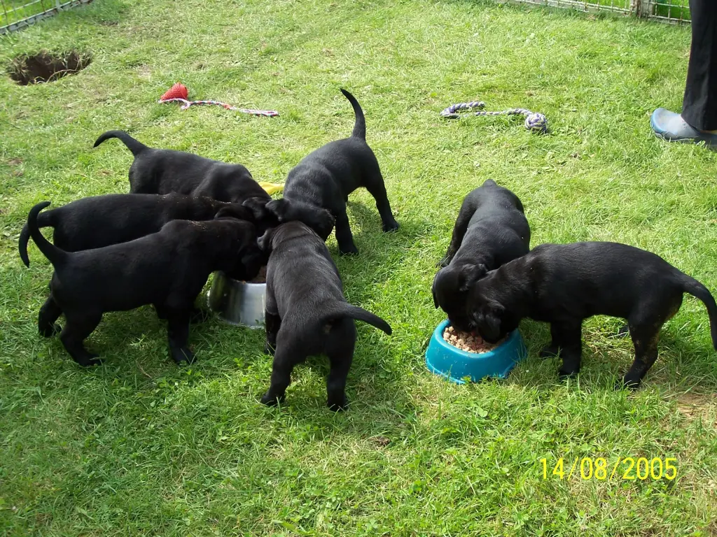 Condolence image of Unbekannt