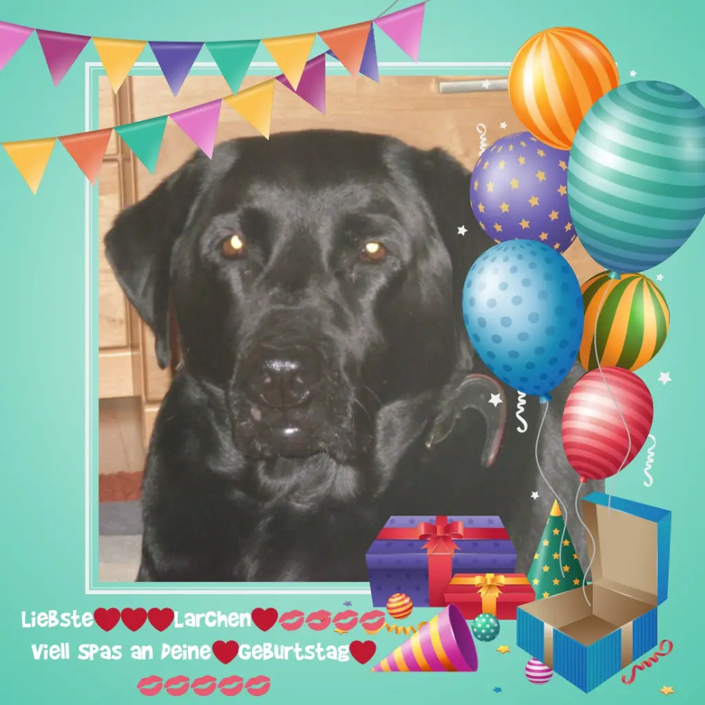 Condolence image of Fur Geburtstag Kind❤️Lara❤️